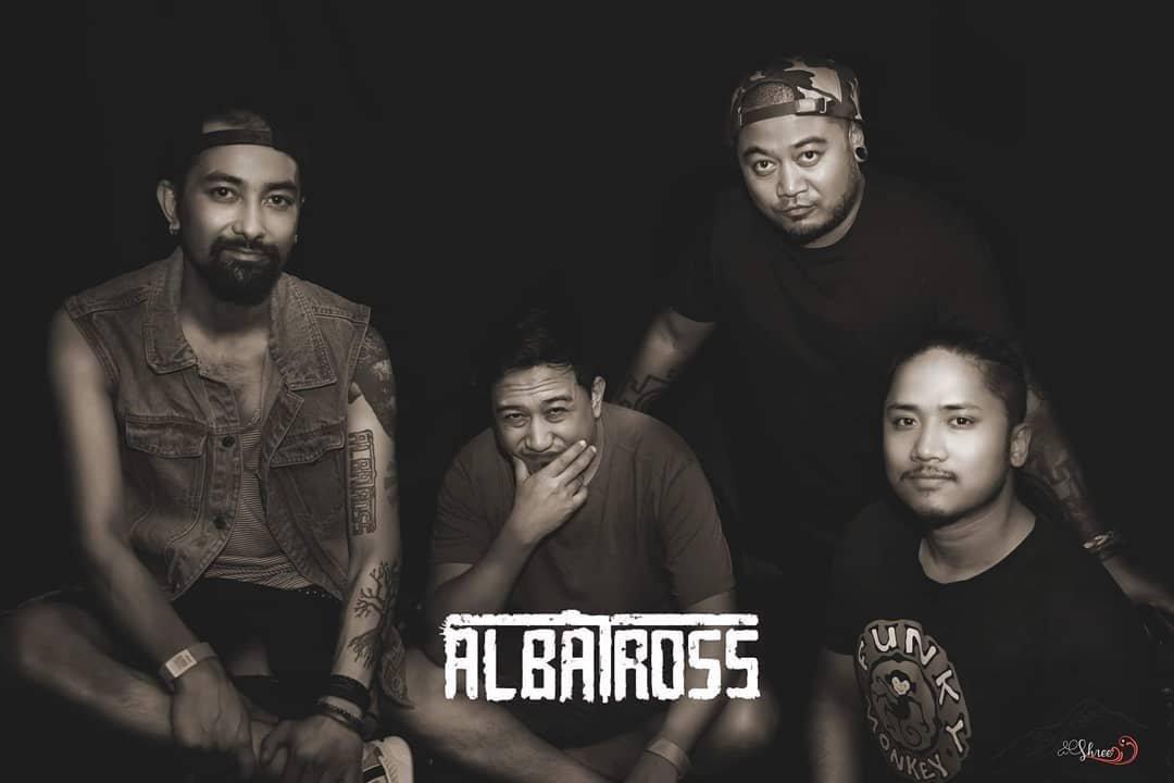 Albatross