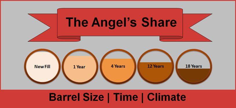 Angel Share