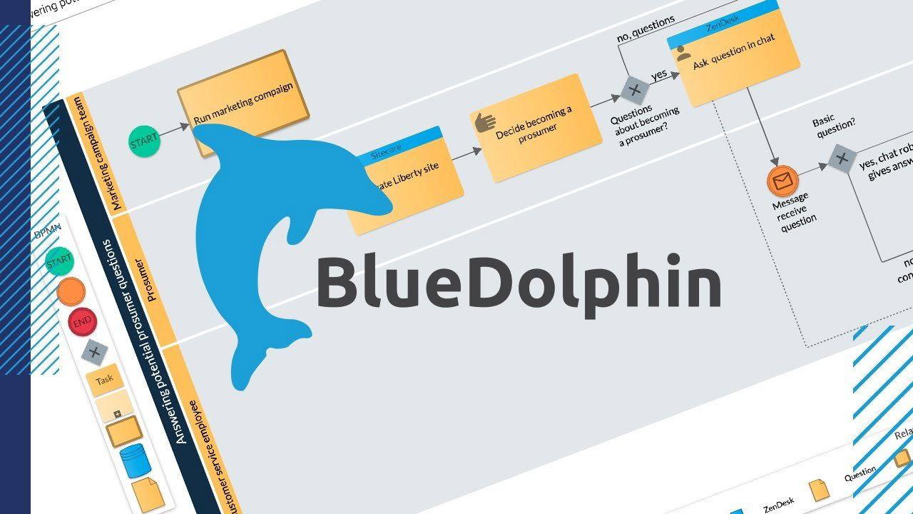 Bluedolphin Band