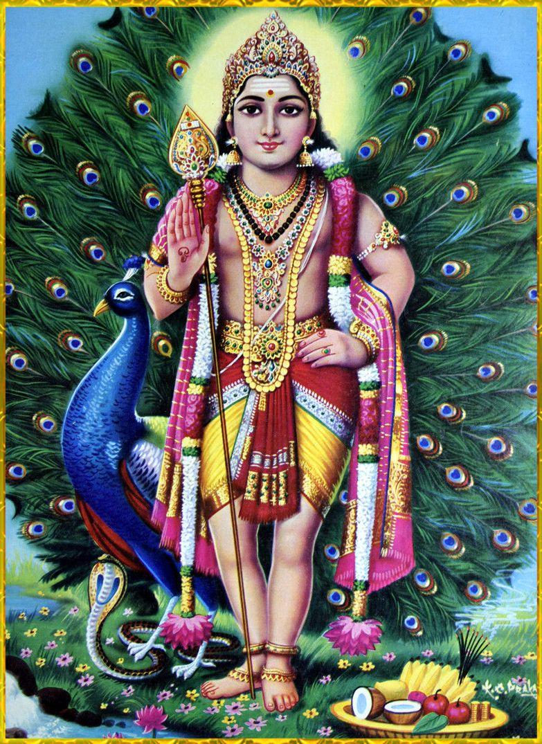 Kartikeya Vashist