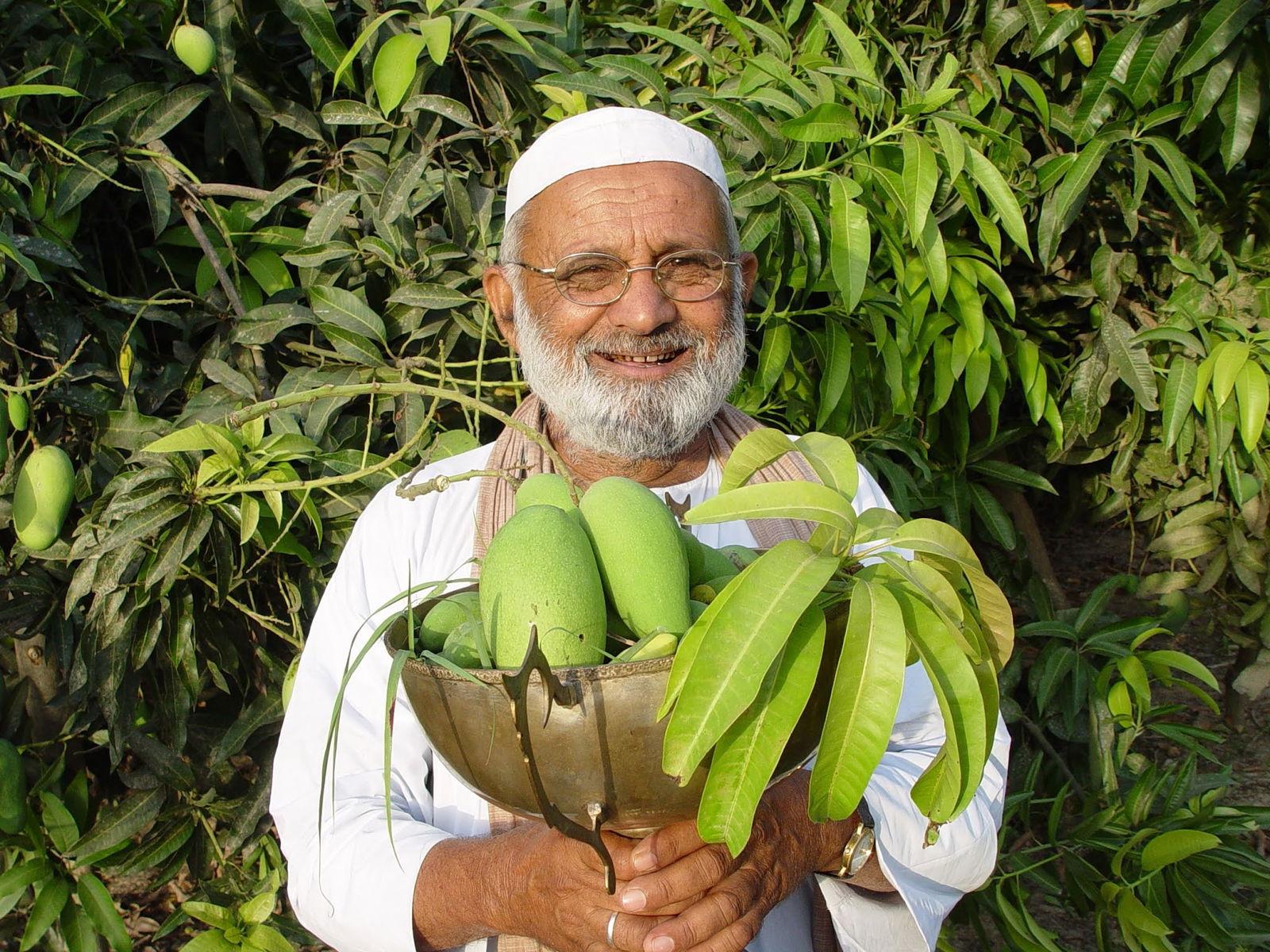 Mango Man