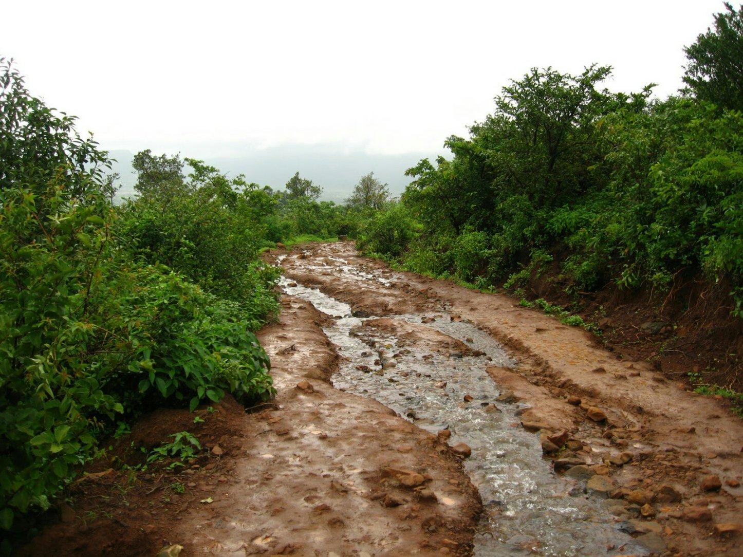 Mud Road