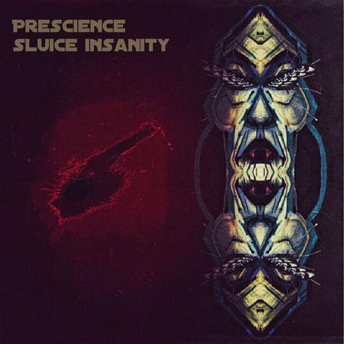 Sluice Insanity